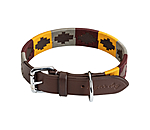 Leather Dog Collar and Lead Polo Sports