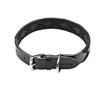 Leather Dog Collar and Lead Polo Sports