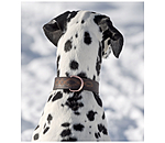 Leather Dog Collar Livorno