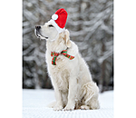 Christmas Hat Santa for Dogs