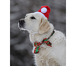 Christmas Hat Santa for Dogs