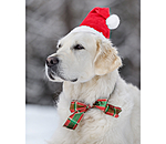 Christmas Hat Santa for Dogs