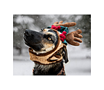 Christmas Antlers Rudolph for Dogs