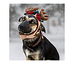Christmas Antlers Rudolph for Dogs