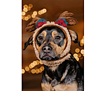 Christmas Antlers Rudolph for Dogs