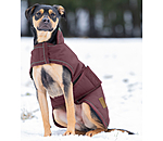 Winter Dog Coat Beaver Creek, 400g