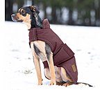 Winter Dog Coat Beaver Creek, 400g