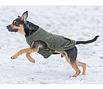 Dog Sweater Seb