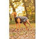 Dog Coat Archie with Teddy Fleece Lining, 160 g