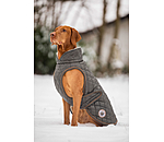 Dog Coat Archie with Teddy Fleece Lining, 160 g