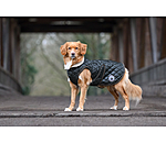 Dog Coat Archie with Teddy Fleece Lining, 160 g
