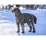 Dog Coat Archie with Teddy Fleece Lining, 160 g