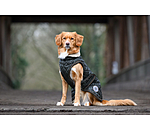 Dog Coat Archie with Teddy Fleece Lining, 160 g