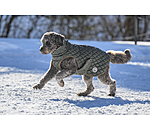 Dog Coat Archie with Teddy Fleece Lining, 160 g