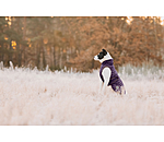 Dog Coat Archie with Teddy Fleece Lining, 160 g