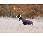 Dog Coat Archie with Teddy Fleece Lining, 160 g