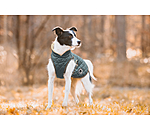 Dog Coat Archie with Teddy Fleece Lining, 160 g