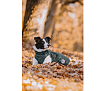 Dog Coat Archie with Teddy Fleece Lining, 160 g