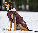 Dog Coat Archie with Teddy Fleece Lining, 160 g