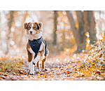 Dog Coat Archie with Teddy Fleece Lining, 160 g