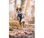 Dog Coat Archie with Teddy Fleece Lining, 160 g