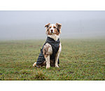 Dog Coat Archie with Teddy Fleece Lining, 160 g