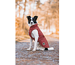 Dog Coat Archie with Teddy Fleece Lining, 160 g