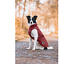 Dog Coat Archie with Teddy Fleece Lining, 160 g
