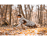 Dog Coat Archie with Teddy Fleece Lining, 160 g