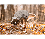 Dog Coat Archie with Teddy Fleece Lining, 160 g