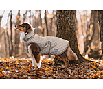 Dog Coat Archie with Teddy Fleece Lining, 160 g