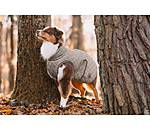 Dog Coat Archie with Teddy Fleece Lining, 160 g