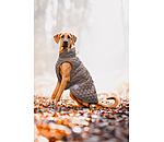 Dog Coat Archie with Teddy Fleece Lining, 160 g