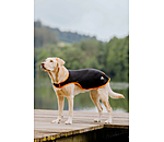Dog Coat Ceramic Rehab