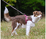 Round Leather Dog Lead Certaldo