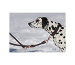 Round Leather Dog Lead Certaldo