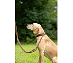 Round Leather Dog Lead Certaldo