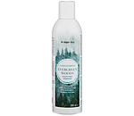 Dog Shampoo Evergreen Woods