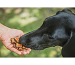 Colourful Snack Mix For Dogs