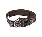 Collar Becks