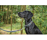 Dog Lead Jade