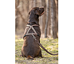 Dog Lead Jade