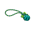 Toothbrush Dog Toy Cleo