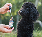 Spot-On Tick Repellent For Dogs