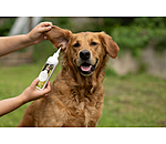 Dog Ear Cleaner Listen Up