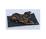 Thermal Dog Blanket Ceramic Rehab