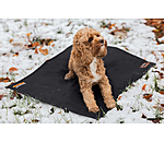 Thermal Dog Blanket Ceramic Rehab