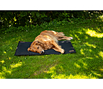 Thermal Dog Blanket Ceramic Rehab