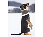 Knitted Dog Scarf Brooks