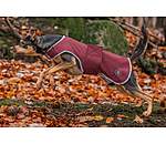 Softshell Dog Coat Athlete, 0g